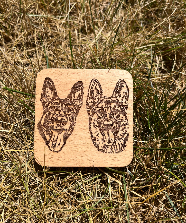 Pet Portrait Coasters