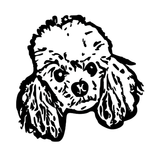 Pet Portrait Outline DTF Transfers