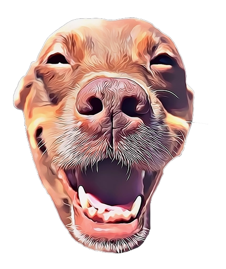Animated Pet Portrait DTF Transfers